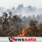 Lahan Gambut Berlokasi di Dekat Desa Deling Terbakar