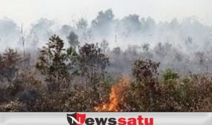 Lahan Gambut Berlokasi di Dekat Desa Deling Terbakar
