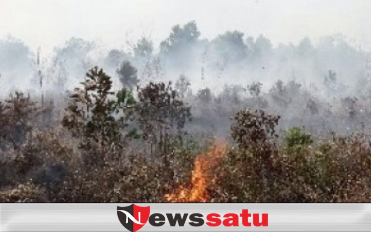 Lahan Gambut Berlokasi di Dekat Desa Deling Terbakar