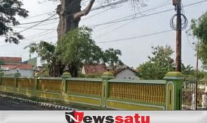 Lokasi Pohon Randu Angker Disulap Jadi Wisata Bumi Pesona Randu