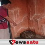 Ular Sanca Kembang Jumbo Milik Warga Diserahkan Ke TWSL