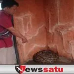 Ular Sanca Kembang Jumbo Milik Warga Diserahkan Ke TWSL