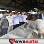 OKI Siaga PMK Jelang Idul Adha