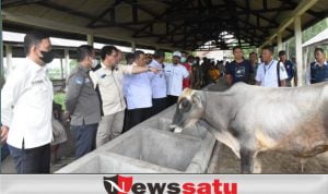 OKI Siaga PMK Jelang Idul Adha