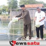 Wabup Pamekasan, Desa Lembung Pantas Jadi Desa Kerapu
