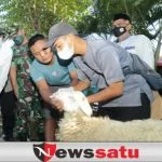 Hewan Kurban Milik Pedagang, Pemkot Lakukan Peninjauan
