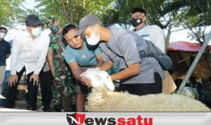 Hewan Kurban Milik Pedagang, Pemkot Lakukan Peninjauan