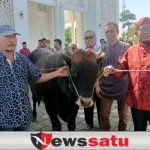MH Said Abdullah, Yayasan Fathimah Binti Said Gauzan dan DPC PDIP Salurkan Hewan Kurban