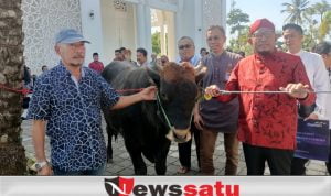 MH Said Abdullah, Yayasan Fathimah Binti Said Gauzan dan DPC PDIP Salurkan Hewan Kurban