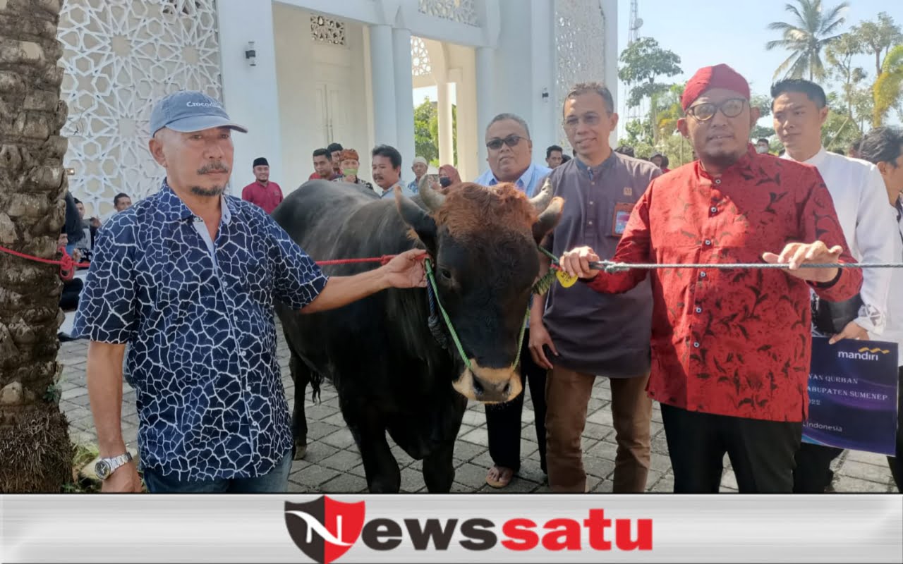 MH Said Abdullah, Yayasan Fathimah Binti Said Gauzan dan DPC PDIP Salurkan Hewan Kurban