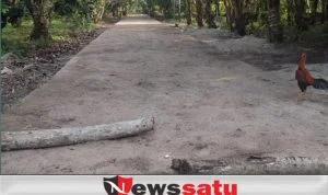 Oknum Pejabat Kelurahan di OKI, Diduga Bangun Jalan Beton Pakai APBD