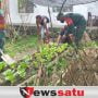 Babinsa Ajari Warga Papua Bercocok Tanam