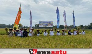 Jaga Ketahanan Pangan, OKI Optimalkan Potensi Lahan Pertanian