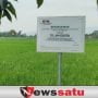 Lahan Sawah Milik Mantan Bupati Probolinggo Disita KPK