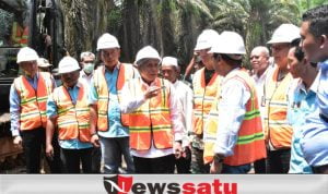 OKI Remajakan 21 Ribu Hektar Kelapa Sawit Rakyat