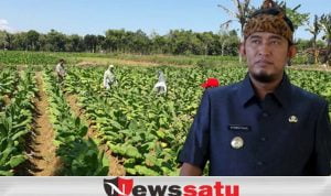 Bupati Sumenep, Pabrikan Harus Patuhi BEP Dalam Pembelian Tembakau