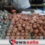Harga Telur Di Sampang Mulai Turun
