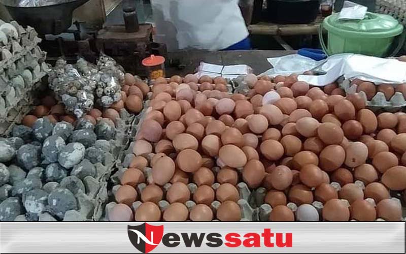 Harga Telur Di Sampang Mulai Turun