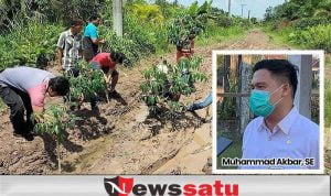 Jalan Rusak Ditanami Singkong, Fraksi Golkar, Masyarakat Lebih Kreatif Dari Pemerintah