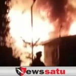 Si Jago Merah Melahap Pabrik Kayu Probolinggo