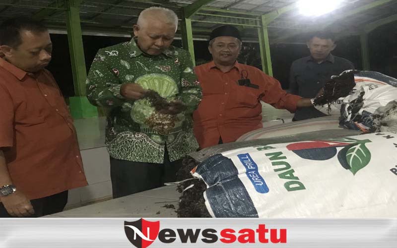 UMKM Di Sumenep Ekspor Rumput Laut Sargassum Ke Cina