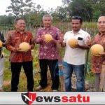 DKPP Fasilitasi Petani Holtikultura untuk Pengembangan Desa Tematik