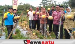 Desa Pasanggar Diproyeksikan Sebagai Desa Melon