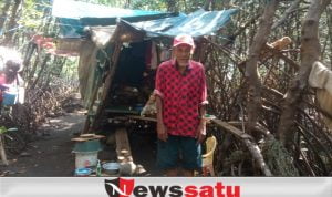 Kakek Sebatangkara Hidup di Hutan Mangrove Probolinggo