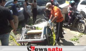Tukang Becak di Probolinggo Tertimpa Pohon Mahoni