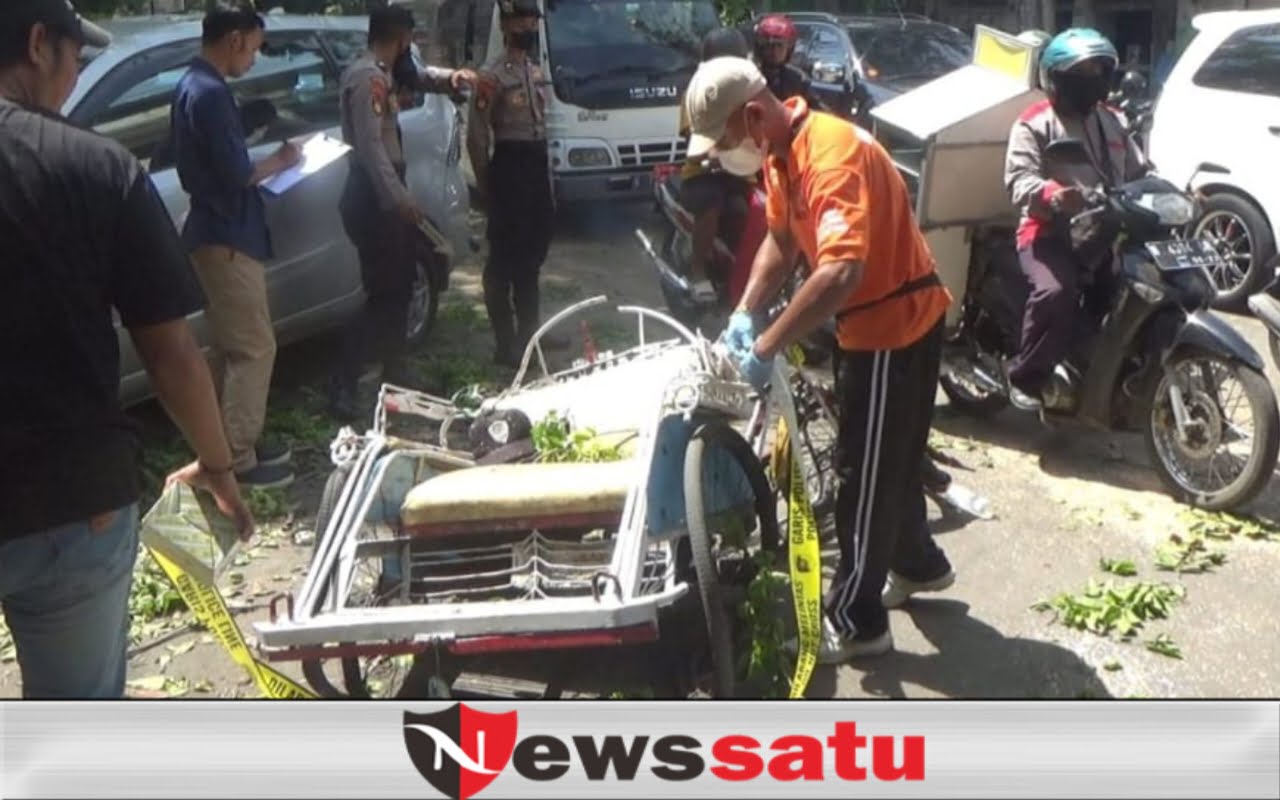 Tukang Becak di Probolinggo Tertimpa Pohon Mahoni
