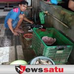 Ikan Laut Mahal, Warga Rayakan Tahun Baru Dengan Bakar Ikan Tawar