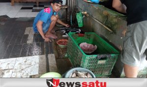 Ikan Laut Mahal, Warga Rayakan Tahun Baru Dengan Bakar Ikan Tawar