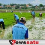 Ketahanan Pangan, WBP Asimilasi Tanam Padi di Lahan 1 Ha