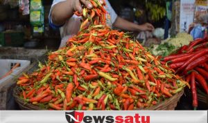 Jelang Ramadhan, Harga Cabai Di Sumenep Tembus Rp 74 Ribu