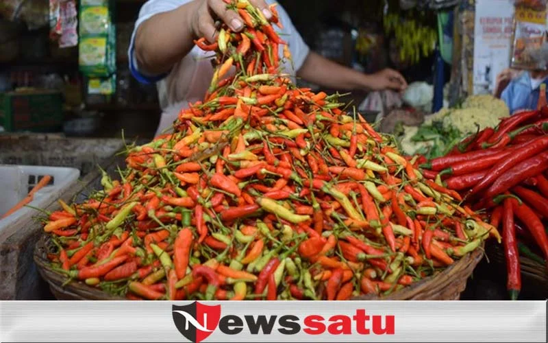 Jelang Ramadhan, Harga Cabai Di Sumenep Tembus Rp 74 Ribu