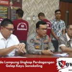 Polda Lampung Ungkap Perdagangan Gelap Kayu Sonokeling