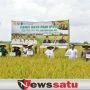 Produktivitas Padi Di OKI Tembus 6,6 Ton Per Hektare