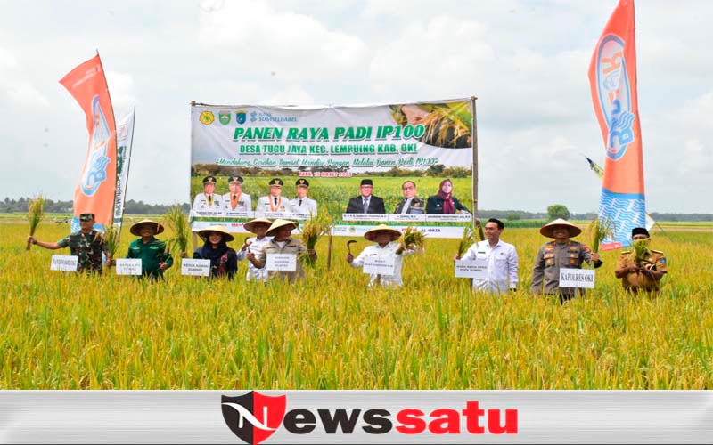Produktivitas Padi Di OKI Tembus 6,6 Ton Per Hektare