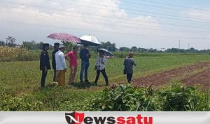 Santri Di Kota Probolinggo Belajar Bertani Bawang Merah