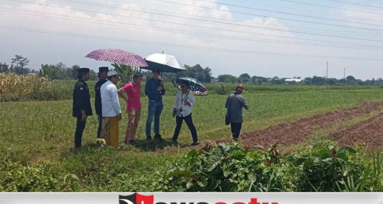 Santri Di Kota Probolinggo Belajar Bertani Bawang Merah