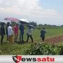 Santri Di Kota Probolinggo Belajar Bertani Bawang Merah