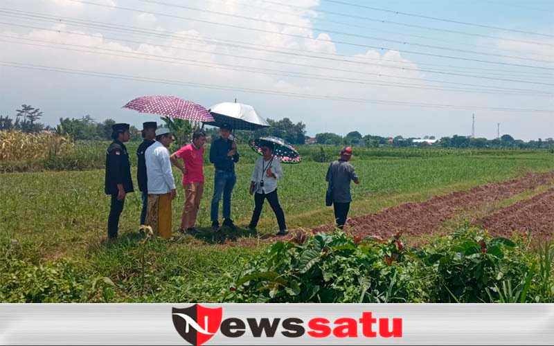 Santri Di Kota Probolinggo Belajar Bertani Bawang Merah