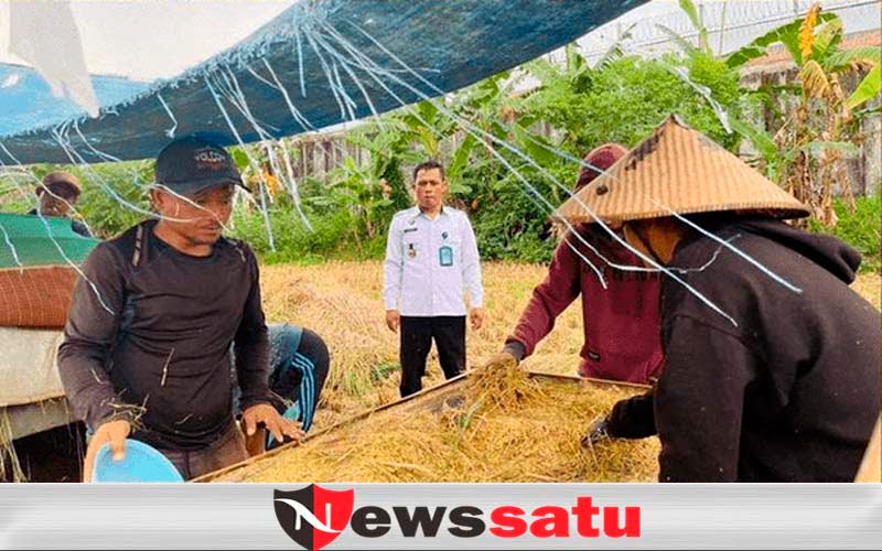 Sukseskan Swamsebada Pangan, Lapas Pamekasan Gelar Panen Raya