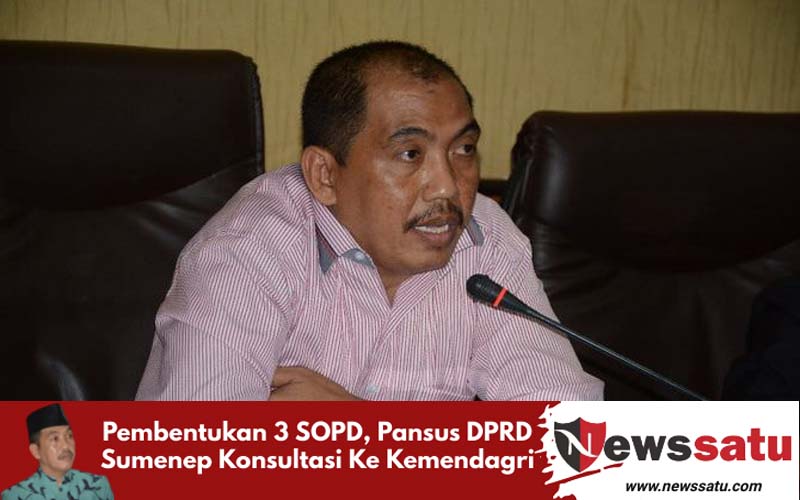 Pembentukan 3 SOPD, Pansus DPRD Sumenep Konsultasi Ke Kemendagri