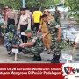 Kodim 0826 Bersama Wartawan Tanam Ratusan Mangrove Di Pesisir Padelegan