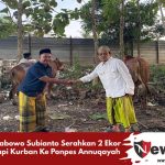 Prabowo Subianto Serahkan 2 Ekor Sapi Kurban Ke Ponpes Annuqayah
