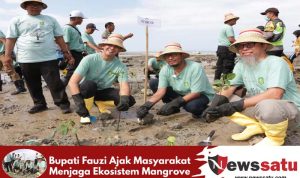 Bupati Fauzi Ajak Masyarakat Menjaga Ekosistem Mangrove