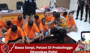 Bawa Senpi, Petani Di Probolinggo Ditangkap Polisi