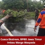 Cuaca Ekstrem, BPBD Jawa Timur Imbau Warga Waspada