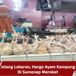Jelang Lebaran, Harga Ayam Kampung Di Sumenep Meroket